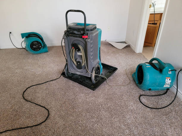 Best Residential water damage restoration  in Locust Grove, GA