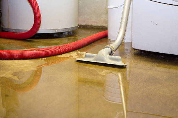  Locust Grove, GA Water damage restoration Pros