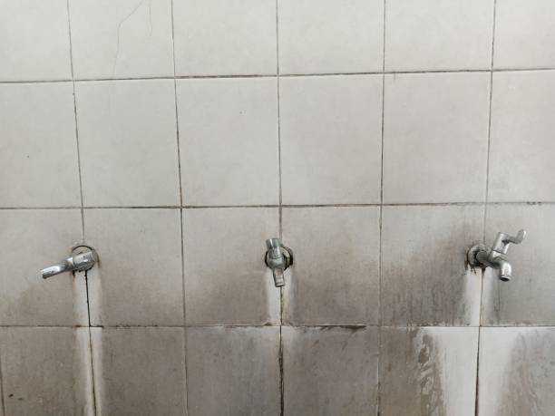 Best Professional water damage repair  in Locust Grove, GA