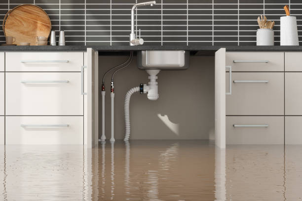 Carpet water damage restoration in Locust Grove, GA