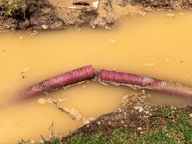 Water damage restoration mold remediation in Locust Grove, GA